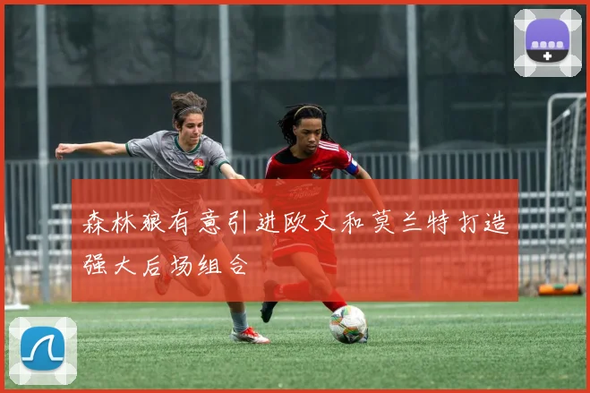 森林狼有意引进欧文和莫兰特打造强大后场组合